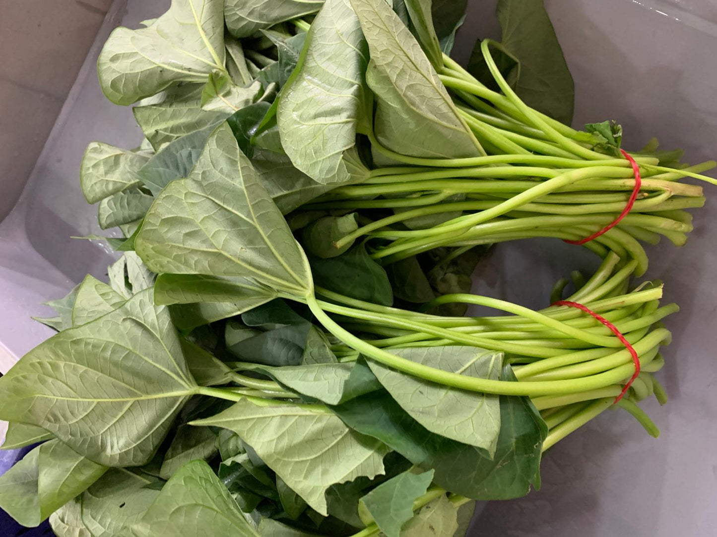 Local Sweet Potato Leaf - Fan Shu Ye 400g