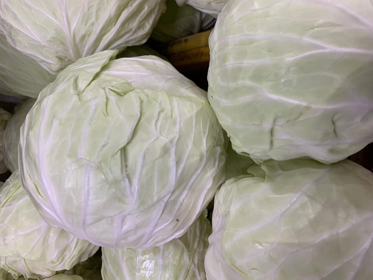 Cameron Sweet Cabbage 800 gm