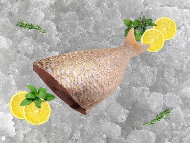White Snapper Tail 800g