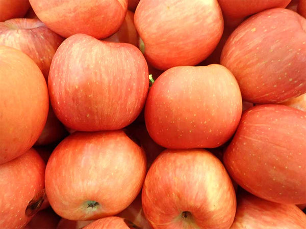 Japanese Sun Fuji Apples Selling for 60 Yuan Apiece in China