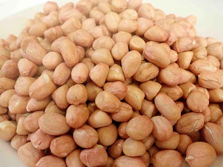 Peanuts- Big - Da Hua Sheng 500g - SGWetMarket