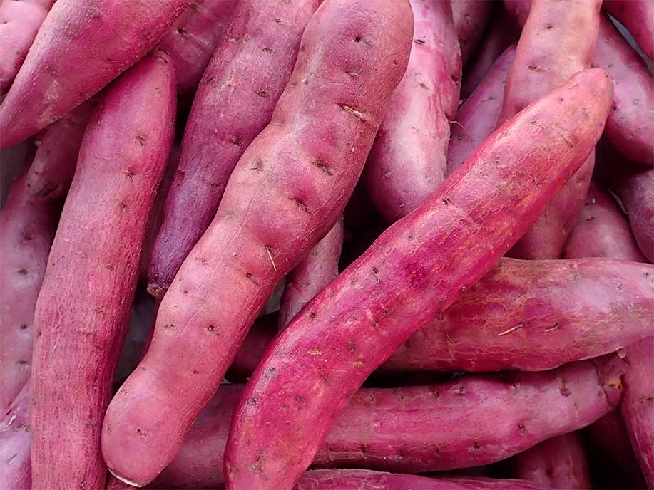 Japanese Sweet Potato 1kg - SGWetMarket