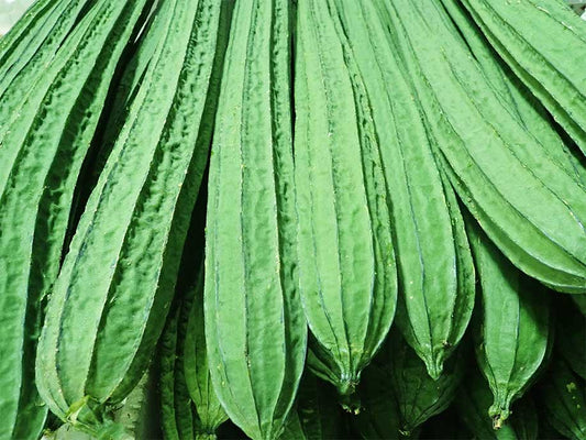 Rigid Gourd - Si Gua 1kg - SGWetMarket