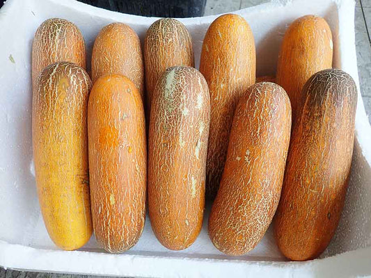 Old Cucumber - Lao Huang Gua 800g - SGWetMarket
