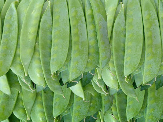 Pea - Ho Lan Dou 300g - SGWetMarket