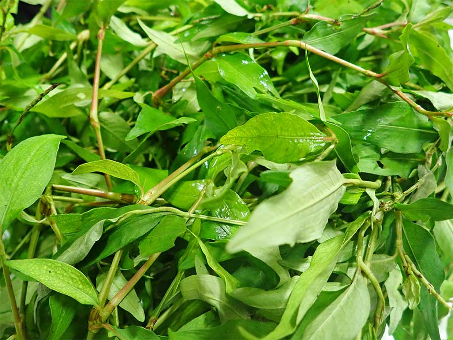 La Sa Leaf 200g - SGWetMarket