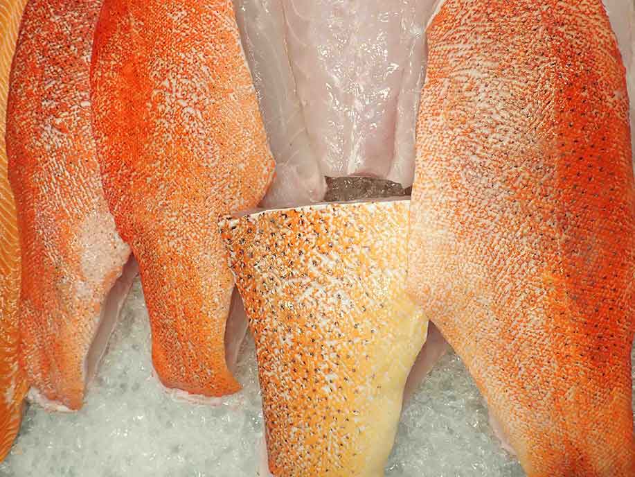 Red Grouper Fillet 500g - SGWetMarket