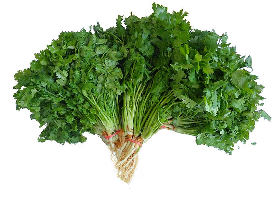 Coriander Leaf - Yuan Xu 300g - SGWetMarket