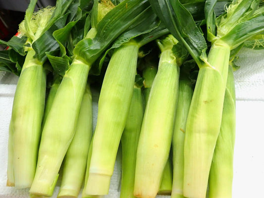 Young Corn Baby Shoot 500g - SGWetMarket
