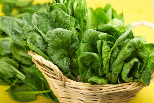 Embracing Greenery: How Leafy Greens Elevate Your Sleep Quality and Boost Mood