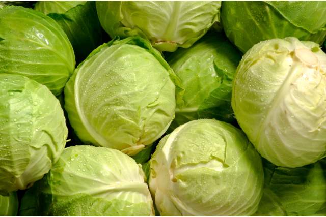 A Closer Look at Cabbage: Unveiling Its Nutrient-Packed Benefits
