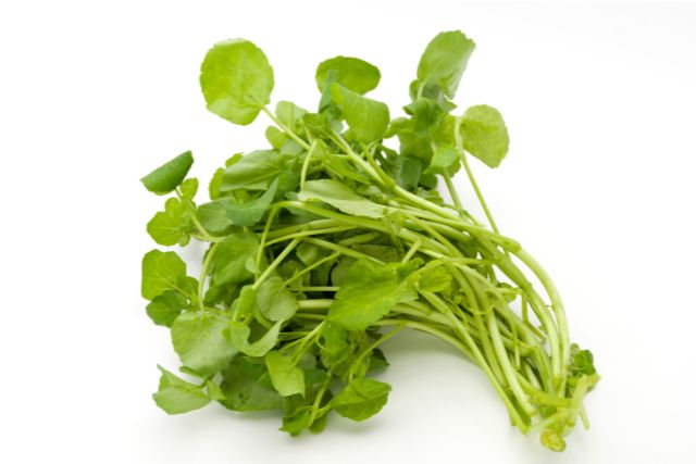 Nutritional Benefits of Watercress: A Powerhouse of Vitamins and Minerals