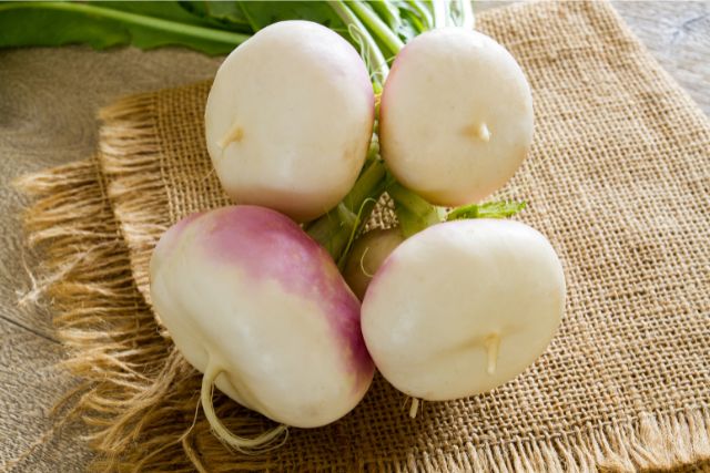 Rooted in Nutrition: The Health Benefits of Turnips