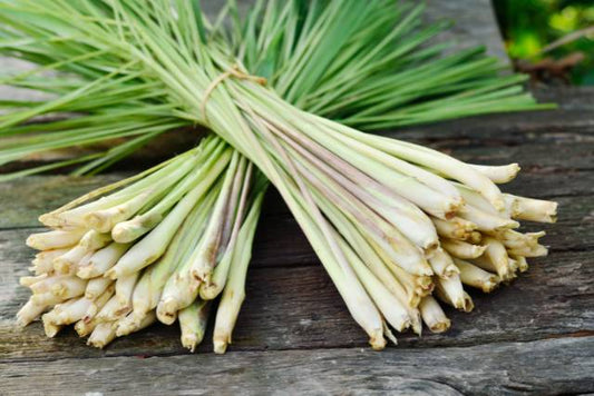 Lemongrass Tea: A Refreshing Brew with Health Benefits