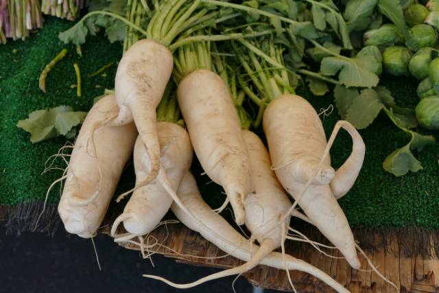 Health Benefits of Parsnips: A Nutrient-Rich Addition to Your Diet