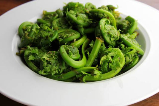 Fiddleheads 101: Everything You Need to Know About This Unique Green Delicacy