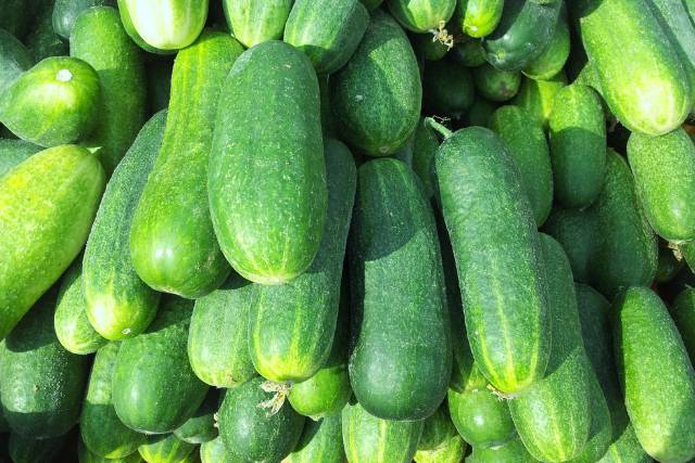 Health Benefits of Cucumbers: Nature's Hydration Booster
