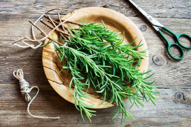 Rosemary: The Fragrant Herb of Mediterranean Cuisine