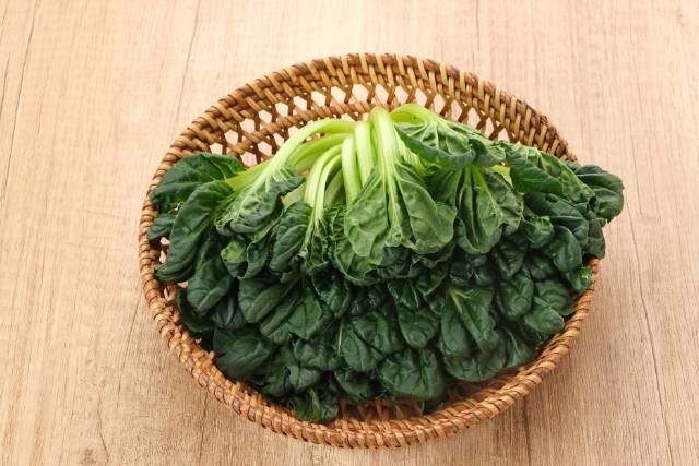 Tantalizing Tatsoi: Exploring a Nutrient-Packed Leafy Green