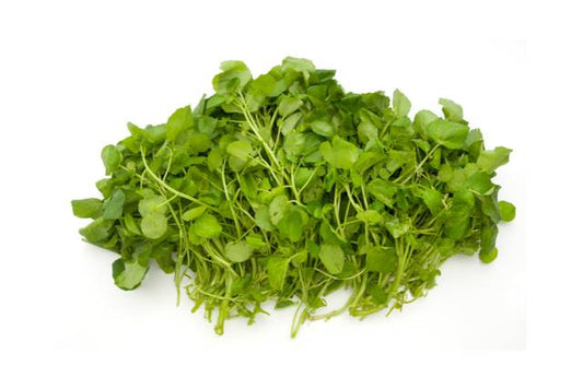 Incorporating Watercress into Your Daily Diet for Improved Health