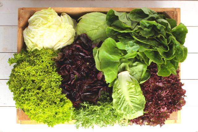 5 Ways Lettuce Can Boost Your Immune System