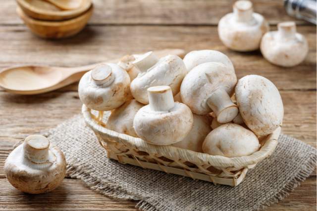 Mushrooms: The Superfood You Didn't Know You Needed