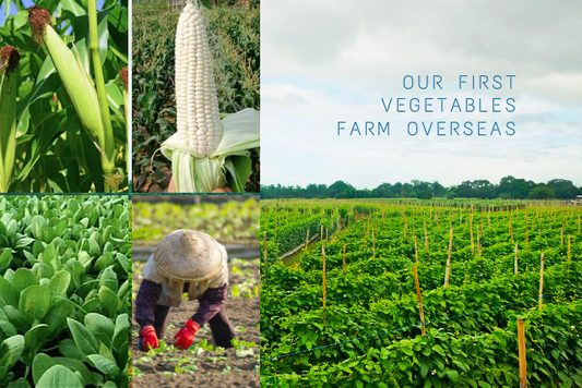 We have open our first overseas vegetables garden (农夫山庄)