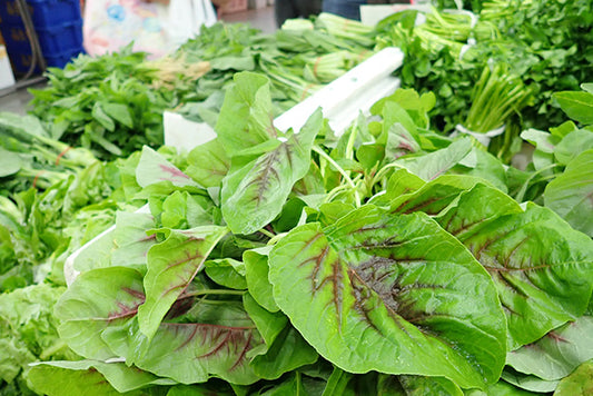 Fresh Vegetables from farms to dinning table