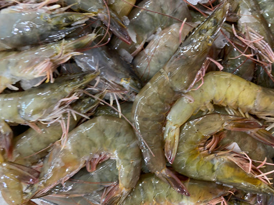 Live Prawn 500g