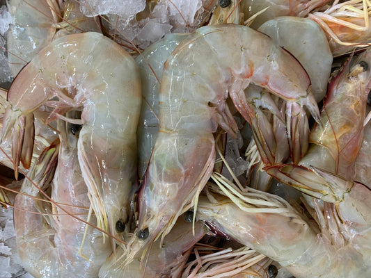 Sea Prawn 500g