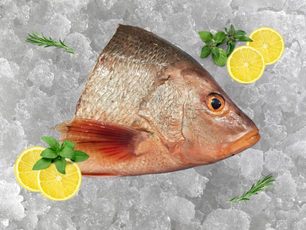 Red Snapper Fish Head 900g – SGWetMarket