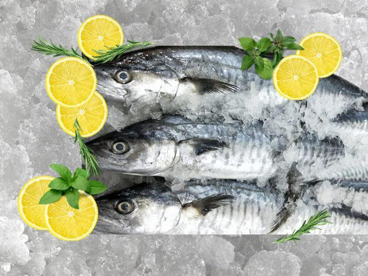 Mackerel 4kg