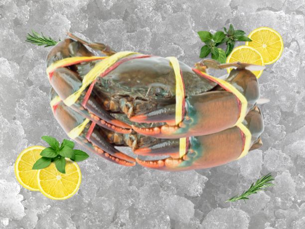 Mud Crab 螃蟹 - 3kg (400g to 500g per piece)