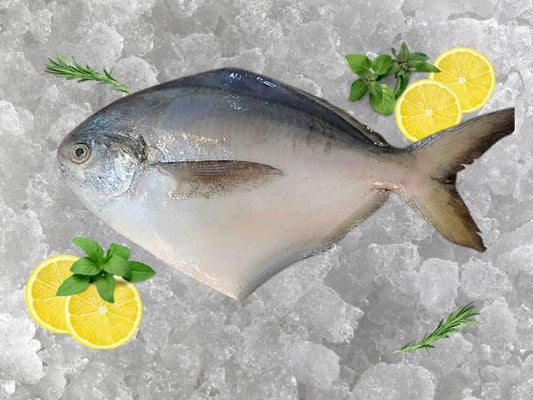 White Pomfret 500g