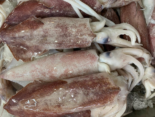 Squid 1kg