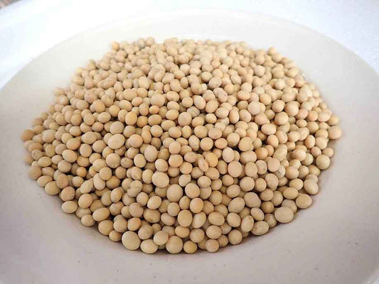 Soya Bean 500g - SGWetMarket