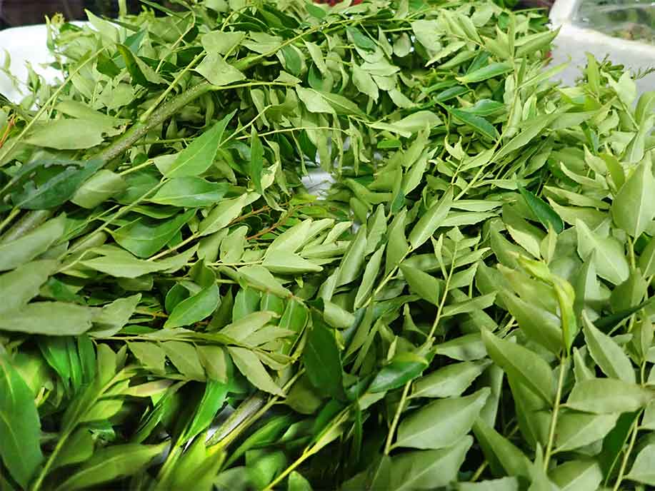 Curry Leaf 200g - SGWetMarket