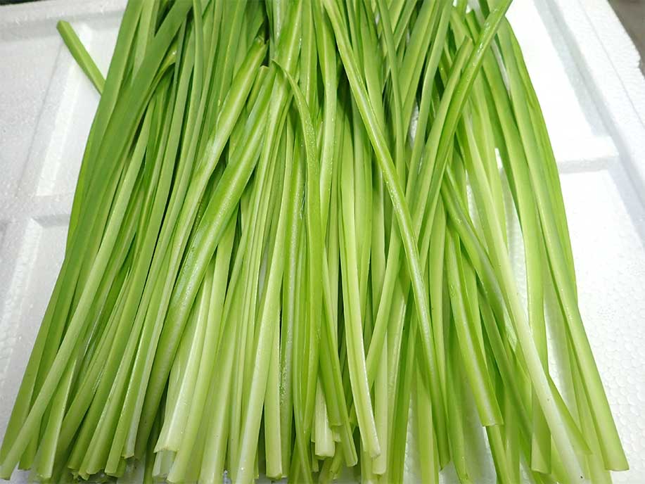 Chinese Chives - Qing Long Cai 300g - SGWetMarket