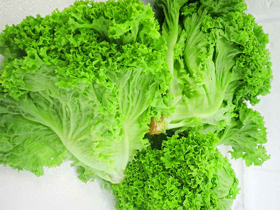 Curly Lettuce - Qing Fei Xu 400g - SGWetMarket