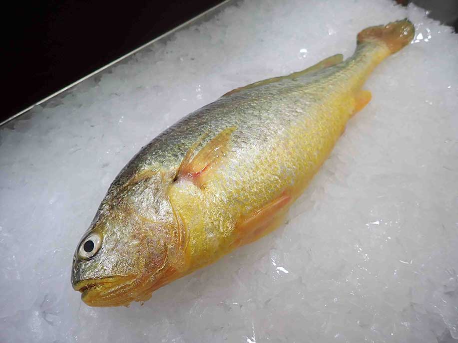 Small Yellow Tail Fish 500g - SGWetMarket