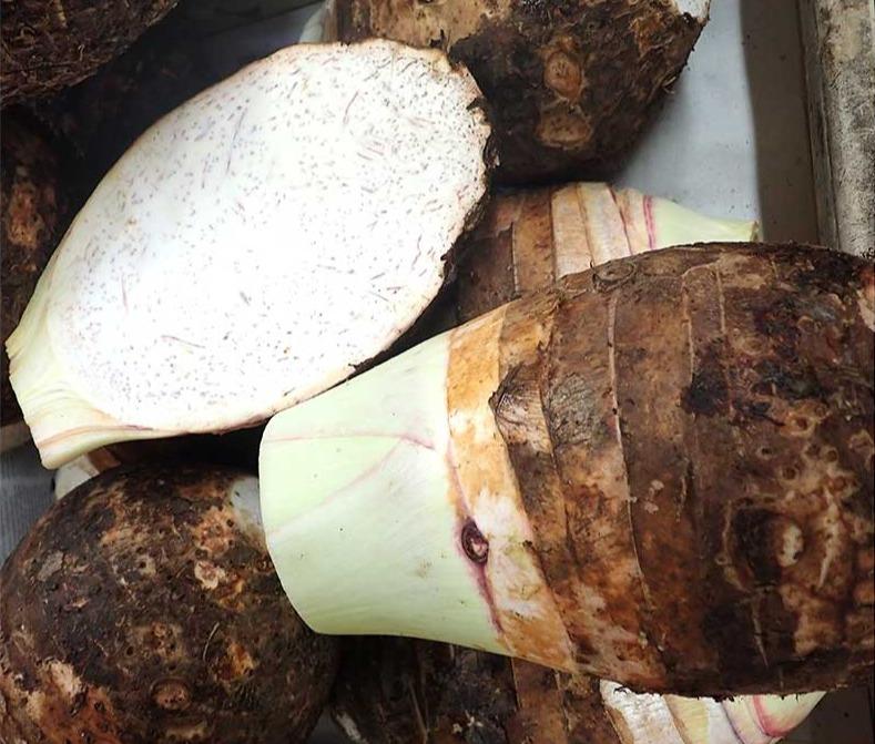 Thailand Yam 700g - SGWetMarket