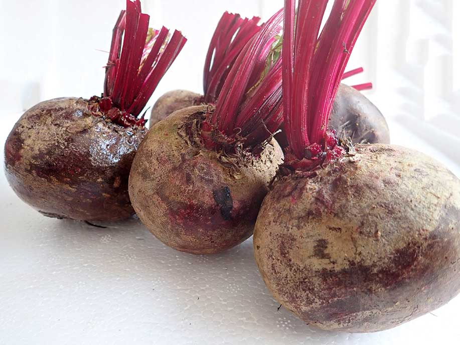 Beet Root - Tian Cai Gen 700g - SGWetMarket