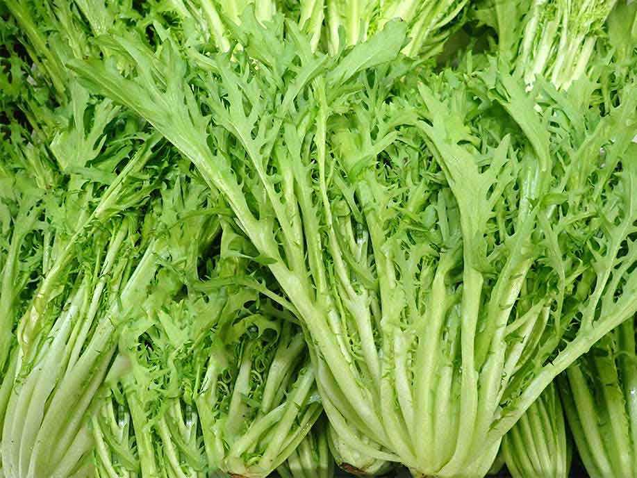 Rocket Lettuce - Yeng Qing Cai 400g – SGWetMarket
