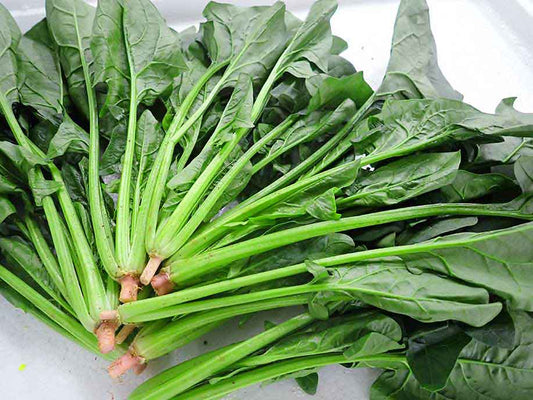 Local Spinach - Local Bo Cai 400g - SGWetMarket