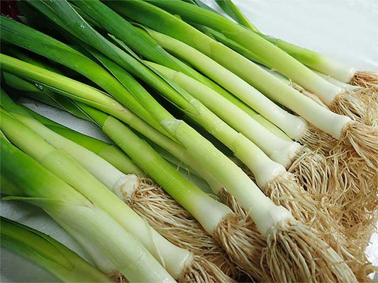 White Leek - Bai Suan 500g - SGWetMarket