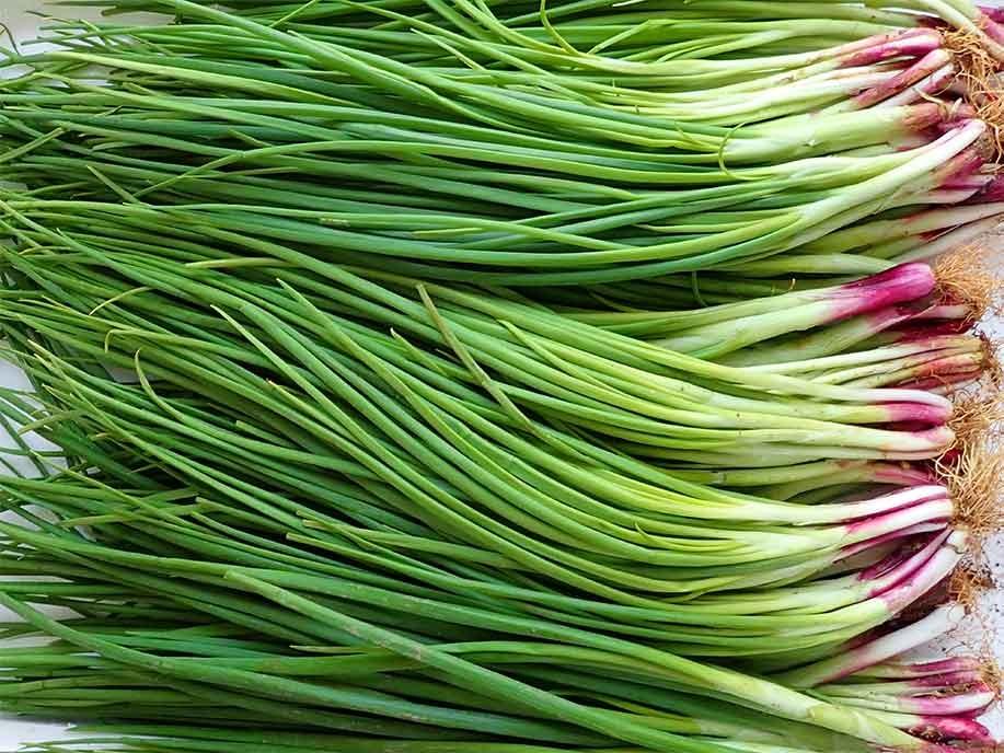 Spring Onion Leaf - Qing Cong 300g - SGWetMarket