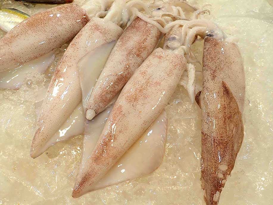Squid 1kg - SGWetMarket