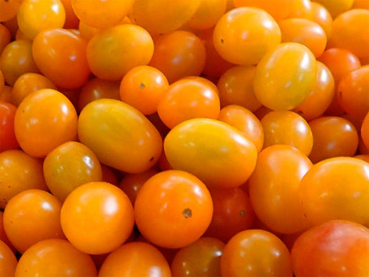 Australian Orange Cherry Tomato 400g - SGWetMarket