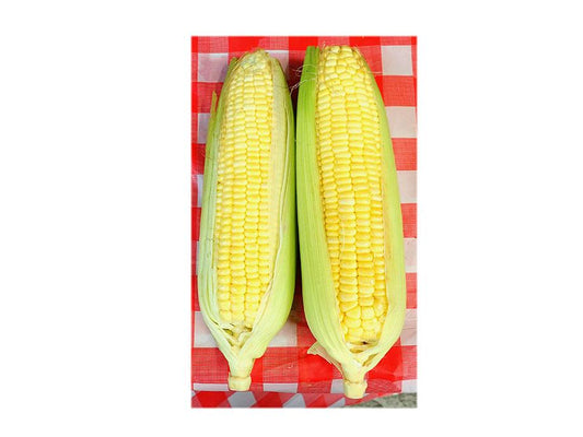Sweet Corn - Tian yu Mi 2pcs - SGWetMarket