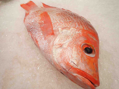 Big Red Snapper 1kg - SGWetMarket